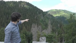 Gioco di squadra per tutelare il patrimonio boschivo del Grappa dal bostrico tipografo