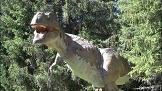 Un viaggio nell’evoluzione dei vertebrati al Museo Vittorino Cazzetta