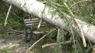 Maltempo in Agordino, Cadore e Comelico: decine gli interventi
