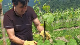 L’azienda agricola Gorza vince un premio per il suo prosecco