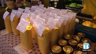 Domanica torna Orti in piazza