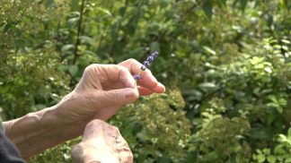 Oggi la giornata dell’Alzheimer