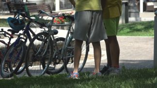 Affido, appello dell’Ulss per due minori cadorini