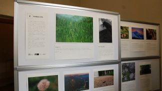 A Palazzo Bembo si apre la mostra ““Osservare per Rigenerare.”