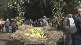 Trionfo di pubblico, tradizione, artigianato e gastronomia per Mele a Mel 2023