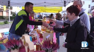 Più giornate e il ritorno del concorso: da venerdì a Limana torna la Festa del Miele