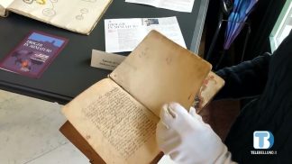 A Feltre apre i battenti la mostra “Draghi in miniatura”