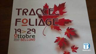 Un successo la manifestazione bellunese “Tracce di foliage”