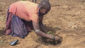 Solidarietà ed educazione finanziaria per offrire un futuro più roseo alle donne ugandesi
