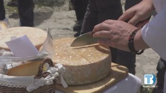 Agriturismi, dalla Regione nuove norme