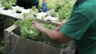 Dalla Regione nuove opportunità a sostegno dell’agricoltura, Coldiretti incentiva gli imprenditori