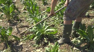 “Un piano agricolo nazionale per salvaguardare l’agricoltura di montagna”