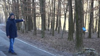 Turismo ed ambiente, a Celarda volontari all’opera per la sistemazione dell’arboreto