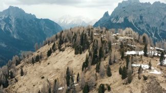 Un nuovo documentario dedicato all’orso