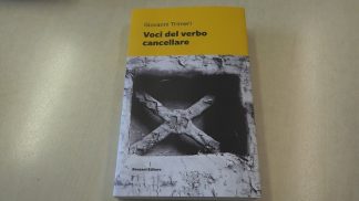 Salute mentale, a Feltre un libro e una mostra estemporanea dedicata all’ex ospedale psichiatrico