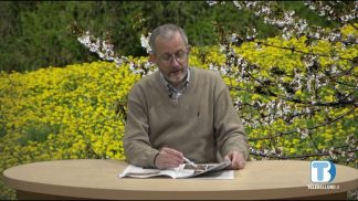 Insieme – Rassegna di giornali della provincia di Belluno – 20/03/2024