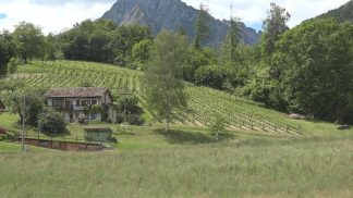 In Consiglio Provinciale arriva la lista dei terreni agricoli di pregio