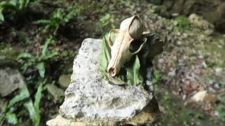 “Me insogne de not”: al Teatro San Gaetano di Castion storia e leggende della Valle di San Mamante