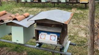 Apidolomiti impegnata per accrescere la biodiversità del territorio