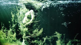 Iniziata ufficialmente la 19° Maratona di Lettura di Feltre