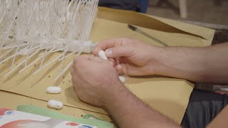 Cantiere della Provvidenza, nuovo slancio alla gelsibachicoltura sognando il Museo del baco da seta