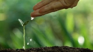 La giornata mondiale della biodiversità