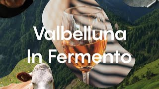 Allo “Spazio ex” ritorna “In fermento”