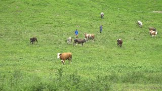 Progetto Green Camp, i giovani si prendono cura del patrimonio ambientale