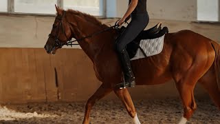 Cinquantenne in carcere per i rapporti sessuali con una minorenne, sua allieva di ippica