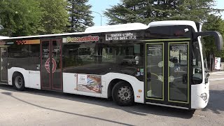 Militari sul bus per prevenire e contrastare il bullismo, ipotesi al vaglio di Palazzo Piloni