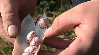 Giornata Nazionale dell’agricoltura: “Aiuti per i custodi del territorio”