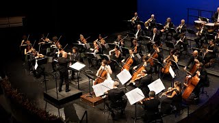 Giovedì al Teatro Buzzati il Concerto di San Martino con l’Orchestra di Padova e del Veneto