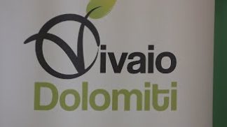 Tavolo per razionalizzare le linee elettriche, il plauso di Vivaio Dolomiti