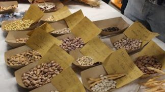 “Chiamata a Raccolto”: tra biodiversità e condivisione