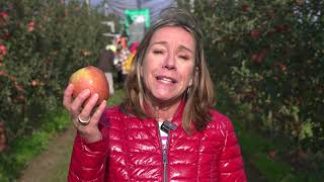 AGRI4WOMEN, un progetto per valorizzare la sostenibilità agricola al femminile.