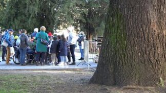 A Belluno e a Feltre di scena la “Festa degli alberi”
