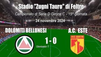 Dolomiti Bellunesi in vetta da sola