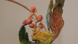 “Le Melusine” ora esposte a Palazzo Crepadona