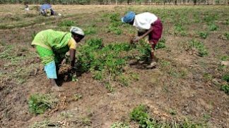 Il Natale della ong bellunese Insieme si può incentiva la solidarietà a favore delle donne